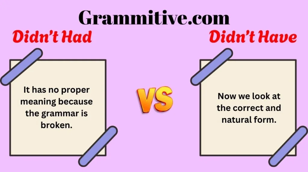 Didn’t Had or Didn’t Have