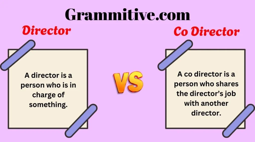 Director vs Co Director