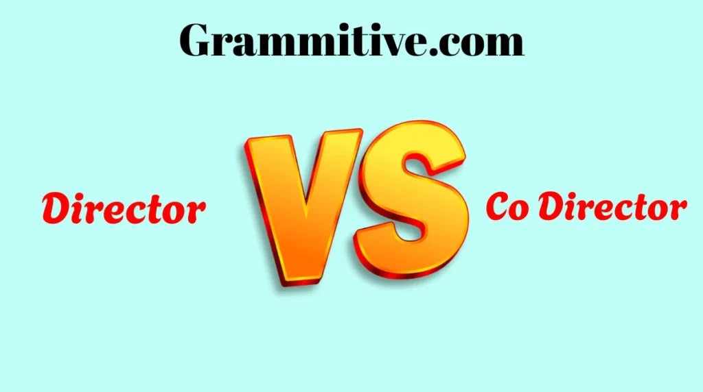 Director vs Co Director