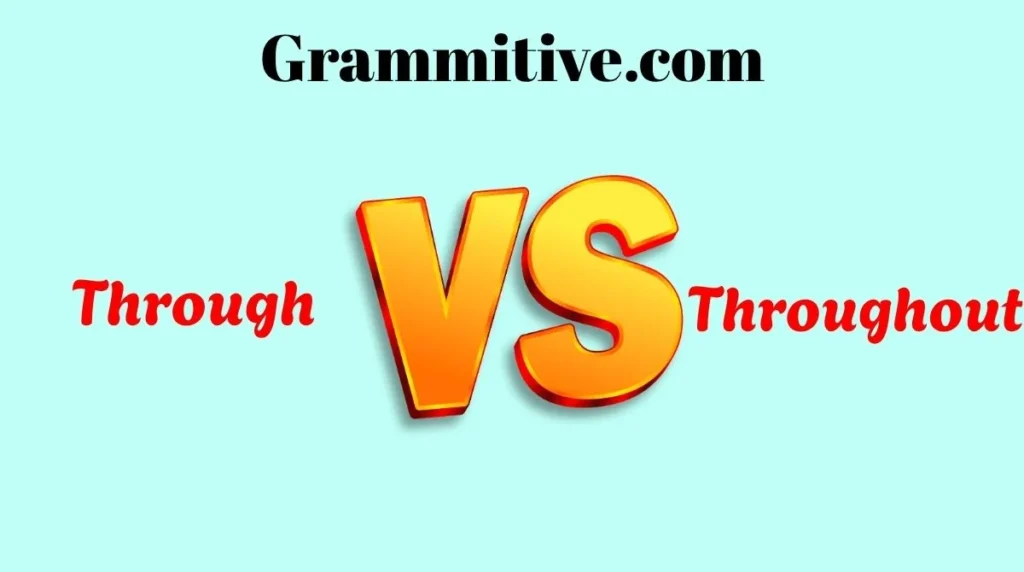Through vs Throughout