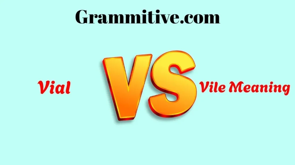 Vial or Vile  Meaning