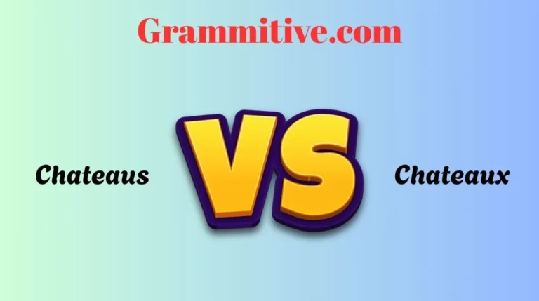 Chateaus vs Chateaux