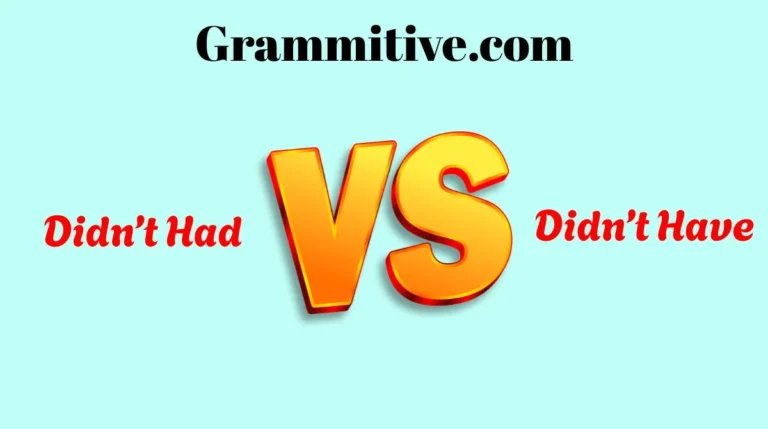 Didn’t Had or Didn’t Have