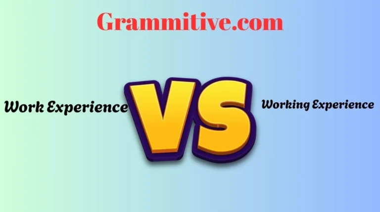 Work Experience or Working Experience