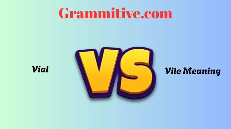 Vial or Vile Meaning