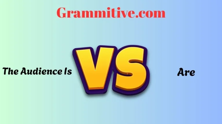 The Audience Is or Are
