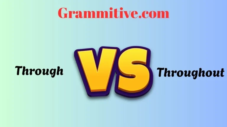 Through vs Throughout